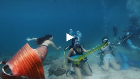 EKOLOŠKA RAPSODIJA: Ronioci uživaju u podvodnom koncertu na Floridi