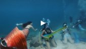 ЕКОЛОШКА РАПСОДИЈА: Рониоци уживају у подводном концерту на Флориди