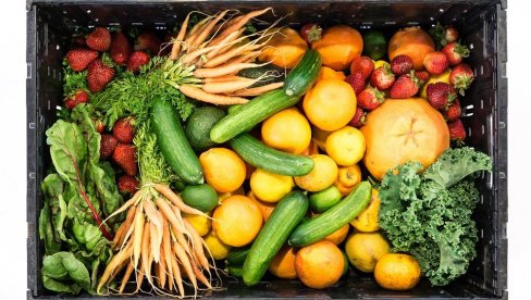 ВЕЛИКА ШАНСА ЗА ДОМАЋУ ПРОИЗВОДЊУ: Влада Србије одобрила средства за прераду воћа и поврћа - ево колико је издвојено