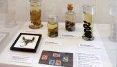 TANKA LINIJA IZMEĐU LEKA I OTROVA: Neobična izložba u Gradskom muzeju Vršac do 18. avgusta (FOTO)