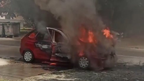 ДИМ КУЉА НА СВЕ СТРАНЕ: Изгорео аутомобил у Земуну (ВИДЕО)