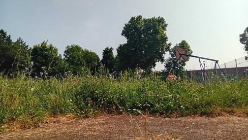 DŽUNGLA UMESTO PARKA: Zapuštene javne površine u naseljima na levoj obali Dunava