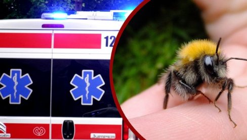 HAOTIČNA SCENA U ČAČKU: Roj pčela izujedao čoveka, a onda i lekare - imao više od 100 uboda na telu