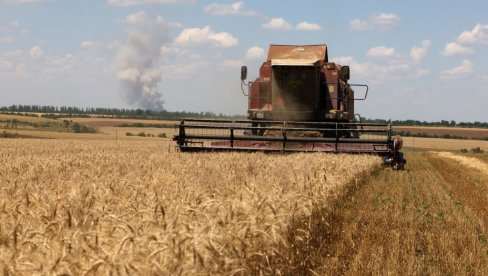PRODAJA ŽITA IZ SRBIJE PREKO LUKE KONSTANCA U PORASTU U ODNOSU NA JANUAR: Zalihe pšenice i dalje velike