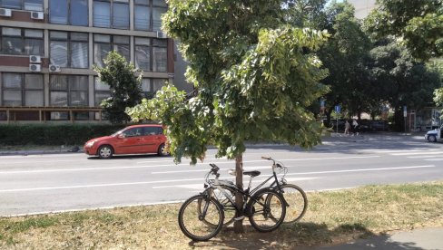 NA PEŠAČKOM PRELAZU OBORIO MUŠKARCA: Saobraćajna nesreća u Novom Sadu, policija zadržala vozača (80)