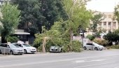 SRUŠENI OBJEKTI, POLOMLJENA RASVETA, IŠČUPANO DRVEĆE: Posledice stravičnog nevremena u Novom Sadu vide se na sve strane (FOTO/VIDEO)