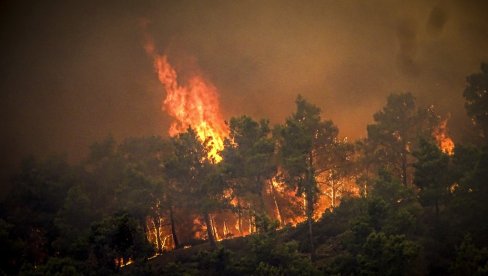 ВАТРЕНА БУКТИЊА УНИШТИЛА ПОВРШИНУ ВЕЋУ ОД ЊУЈОРКА: На северу Грчке изгорело преко 808 квадратних километара