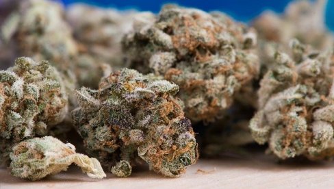 ХАПШЕЊЕ У БОЉЕВЦУ: Крагујевчанину у ранцу пронашли 283 грама марихуане
