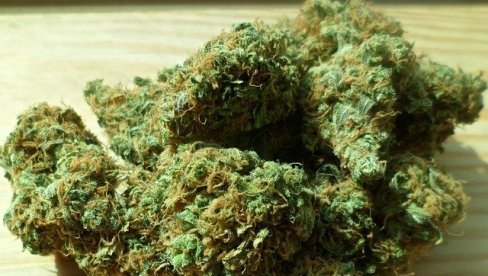 UHAPŠEN ZBOG DROGE: Negotincu policija pronašla više paketića sa marihuanom