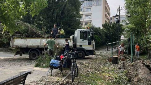 ZA DEVET DANA, 2.099 INTERVENCIJA : „Gradsko zelenilo“ u Novom Sadu otklanja posledice stravičnog nevremena