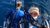 OČI U OČI SA AJKULOM: Krenula da zaroni, umalo da uskoči u čeljusti nemani - strašniji snimak danas nećete videti! (VIDEO)