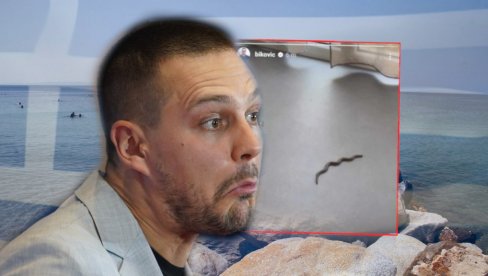 PAKAO! Bikoviću upala zmija na letovanju u Grčkoj: Šta da je nisam video? (FOTO)