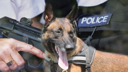 УПУЦАЛИ ГА: Полицајци убили свог службеног пса - пре тога је имао низ херојских дела широм Велике Британије