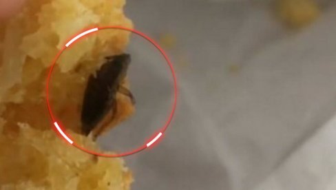 BUBA U PROJI: Srpkinja besna, u obroku pronašla pečenog insekta - u komentarima se nižu iskustva ljudi (FOTO)