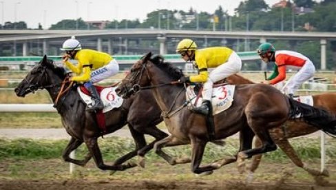 TRKA ZA PEHAR PREDSEDNIKA: U nedelju na Hipodromu galopski trkački dan, prijavljeno više od 80 konja