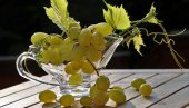 ЗА ВИНО ВРХУНСКОГ КВАЛИТЕТА: Ово су најбоље сорте грожђа за пијуцкање