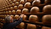 POČINJE I ČIPOVANJE HRANE: Italijani našli novi način za borbu protiv falsifikovanog sira