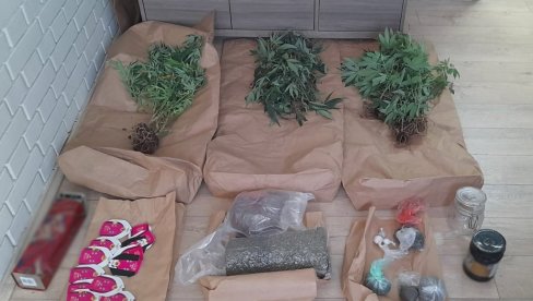 IMPROVIZOVANA LABORATORIJA U STANU: U Novom Sadu uhapšen D. K. (38) osumnjičen za neovlašćenu proizvodnju droge