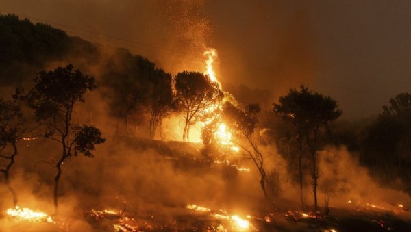 ЗА ДАН ИЗБИЛО 60 НОВИХ ПОЖАРА: Пола Грчке се гуши у пепелу и диму (ВИДЕО)