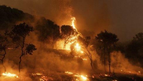 ZA DAN IZBILO 60 NOVIH POŽARA: Pola Grčke se guši u pepelu i dimu (VIDEO)