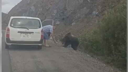 САМО У РУСИЈИ: Зауставио аутомобил поред пута како би нахранио медведа (ВИДЕО)