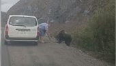SAMO U RUSIJI: Zaustavio automobil pored puta kako bi nahranio medveda (VIDEO)