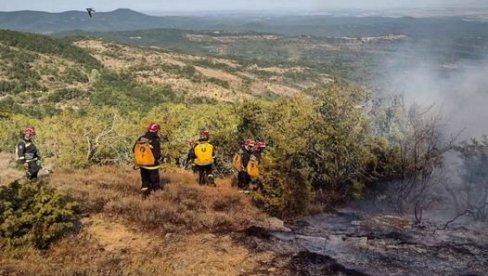ПРАТИМО ЛИНИЈУ ПОЖАРА И СПРЕЧАВАМО ШИРЕЊЕ: Српски ватрогасци помажу грчким колегама (ВИДЕО)