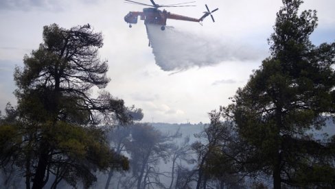 ВАТРЕНА БУКТИЊА ОПУСТОШИЛА ОГРОМНЕ ШУМСКЕ ПОВРШИНЕ: Пожар у Грчкој постепено јењава