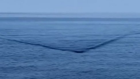 ПОГЛЕДАЈТЕ - ТАЛАС КАО ИЗ ФИЛМА АЈКУЛА: Морска неман је кренула право ка јахти (ВИДЕО)