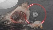 ДРАМА НА МОРУ: Ајкуле изгризле чамац - троје људи евакуисано са катамарана (ФОТО/ВИДЕО)
