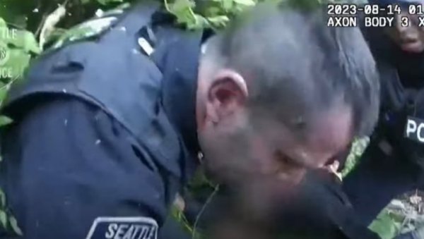 НЕСВАКИДАШЊИ СЛУЧАЈ: Полицајце напао рој оса док су хапсили осумњиченог, не зна се ко је горе прошао (ВИДЕО)