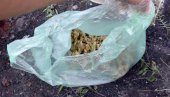 УХАПШЕН СА 440 ГРАМА МАРИХУАНЕ: Неовлашћено држање опојних дрога