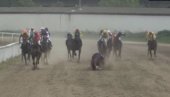 ЈЕЗИВ СНИМАК СА БЕОГРАДСКОГ ХИПОДРОМА: Коњ збацио џокеја, хитна га изнела на носилима