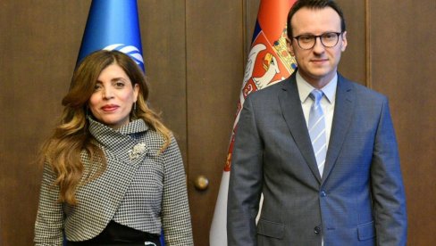 Петковић разговарао са  шефицом Мисије УНМИК-а Каролин Зијаде