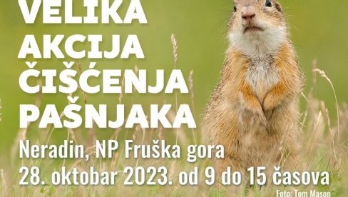 POMOĆ UGROŽENIM TEKUNICAMA: DZPPS i NP „Frruška gora“ 28. oktobra organizuju čišćenje zaraslih pašnjaka kod Neradina