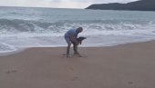 ЈАК ЈУГО И ТАЛАСИ ОДВОЈИЛИ ДЕЛФИНА ОД МАЈКЕ: Младунче са плаже враћено у море