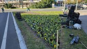 НОВИ САД У ЈЕСЕЊИМ НИЈАНСАМА: У центру града почела садња 100.000 комада цвећа