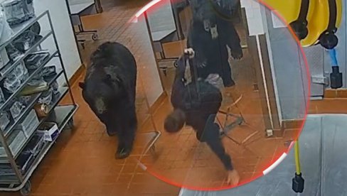 ZASTRAŠUJUĆI SNIMAK: Medved zalutao u hotel, napao čoveka (VIDEO)