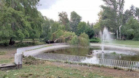 САДЕ НОВА ПЛУЋА ГРАДА: Ускоро креће санација олујом оштећених паркова у Новом Саду