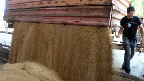 ПОМОЋ ЗА НАЈСИРОМАШНИЈЕ ЗЕМЉЕ АФРИКЕ: Русија испоручила 200.000 тона пшенице