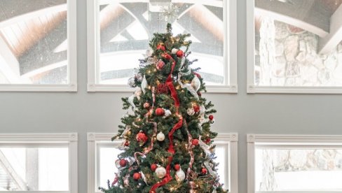 VAŠA JELKA PUTOVALA JE DUGO: Ove dve zemlje Evrope najveći proizvođači jelki - I vaša je, verovatno, stigla odavde!