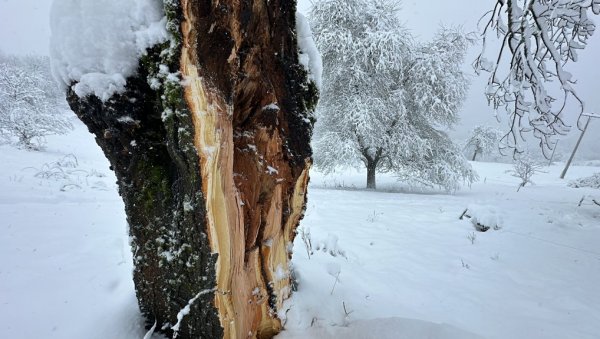МИТРОВИЋ: Ситуација на подручју Ивањице после снежне олује је под контролом