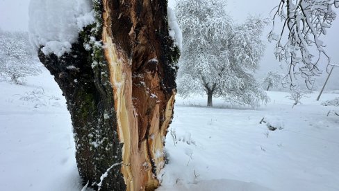 MITROVIĆ: Situacija na području Ivanjice posle snežne oluje je pod kontrolom