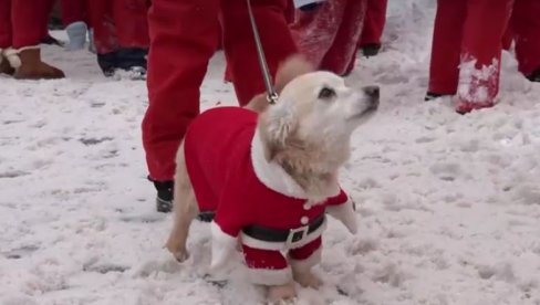 A POBEDNIK JE... DEDA MRAZ: U Letoniji održana tradicionalna božićna trka (VIDEO)