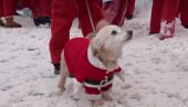 А ПОБЕДНИК ЈЕ... ДЕДА МРАЗ: У Летонији одржана традиционална божићна трка (ВИДЕО)