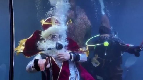 RONJENJE SA SVETIM NIKOLOM: Neobična božićna egzibicija u minhenskom akvarijumu (VIDEO)