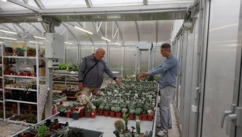 NA KROVU GAJI 1.500 KAKTUSA: Boban Stanković iz Niša već tri decenije opčinjen lepotom raskošnih i egzotičnih biljaka