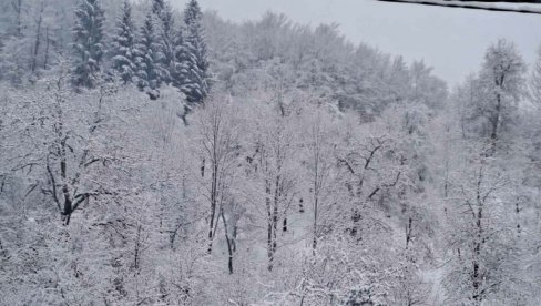 КАКВО НАС ВРЕМЕ ЧЕКА ЗА БОЖИЋ? Метеоролог Анђелко Савић за „Новости“ одговорио кад нам долази снег (ФОТО)