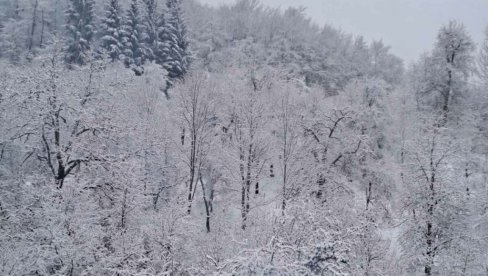 KAKVO NAS VREME ČEKA ZA BOŽIĆ? Meteorolog Anđelko Savić za „Novosti“ odgovorio kad nam dolazi sneg (FOTO)