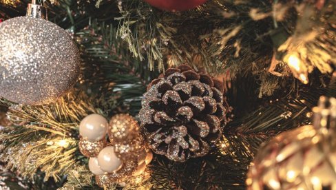 ПРАЗНИЧНА ЧАРОЛИЈА НЕ МОРА ДА СЕ ЗАВРШИ БАЦАЊЕМ ЖИВЕ ЈЕЛКЕ: Ево како да преживи до следеће године